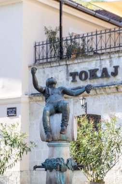 Tokaj kasabasının merkez meydanı, Tokaj bölgesi, UNESCO bölgesi, Great Plain, Kuzey Macaristan
