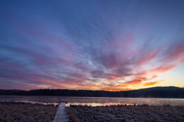 Doğa rezervi Olsina, Sumava Ulusal Parkı, Çek Cumhuriyeti