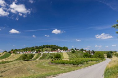 Traditional wine cellars with vineyard in Galgenberg near Wildendurnbach, Lower Austria, Austria