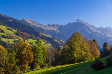 Sankt Gerold ve Bludenz yakınlarındaki tipik manzara, Bregenzer Wald, Bregenz bölgesi, Vorarlberg, Avusturya