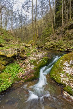 Typical landscape near Burg Kaja and Merkersdorf, National park Thayatal , Lower Austria, Austria clipart