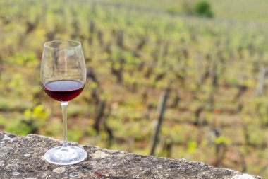 Glass of pinot noir red wine in early spring vineyards near Aloxe-Corton, Burgundy, France clipart