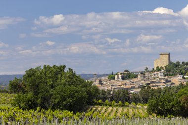 Chateauneuf-du-Pape yakınlarında taşları olan tipik üzüm bağları, Cotes du Rhone, Fransa