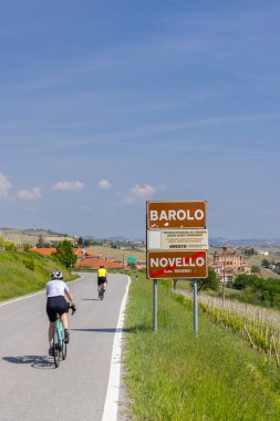 Barolo yakınlarındaki tipik üzüm bağları, Barolo şarap bölgesi, Cuneo ili, Piedmont bölgesi, İtalya