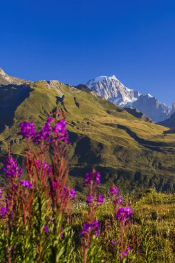 Col du Petit-Saint-Bernard yakınlarındaki manzara Mont Blanc ile Fransa ve İtalya sınırında