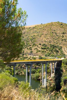 Park Arqueologico Vale do Coa (Coa Valley), UNESCO sitesi, paleolitik kaya resimleri, Kuzey Portekiz, Portekiz