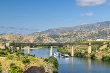 Pocinho yakınlarındaki tipik Douro manzarası, UNESCO sitesi, Vila Nova de Foz Coa, Alto Douro şarap bölgesi, Portekiz