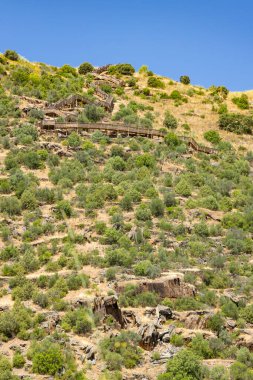 Park Arqueologico Vale do Coa (Coa Valley), UNESCO sitesi, paleolitik kaya resimleri, Kuzey Portekiz, Portekiz