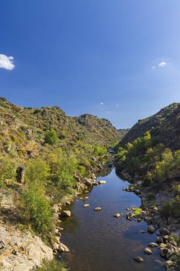 Park Arqueologico Vale do Coa (Coa Valley), UNESCO sitesi, paleolitik kaya resimleri, Kuzey Portekiz, Portekiz