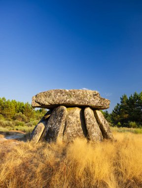 Alijo yakınlarındaki Dolmen Anta de Fonte Coberta, Vila Cha, Portekiz
