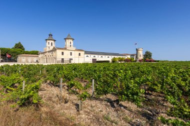 Şatolu üzüm bağları Çünkü d 'Estournel, Bordeaux, Aquitaine, Fransa
