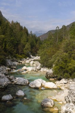 Soca nehri yakınlarındaki tipik manzara, Triglavski ulusal parkı, Slovenya