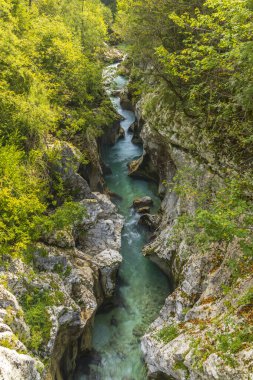 Great Soca Gorge (Velika korita Soce), Triglavski Ulusal Parkı, Slovenya