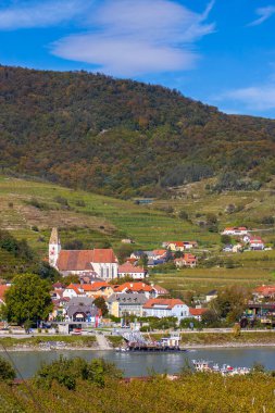 Hinterhaus castle ruins (Ruine Hinterhaus), Spitz, Wachau, UNESCO site, Lower Austria, Austria clipart