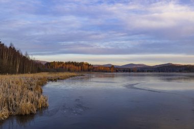 Doğa rezervi Olsina, Sumava Ulusal Parkı, Çek Cumhuriyeti