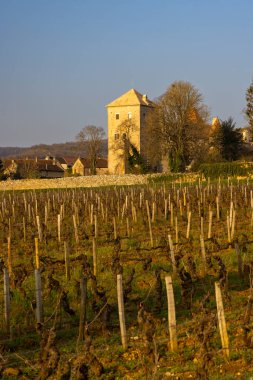Chateau de Gevrey-Chambertin (kale), Burgundy, Fransa
