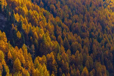 Texelgruppe doğa parkı (Parco Naturale Gruppo di Tessa) Timmelsjoch yakınlarında - yüksek Alp yolu, Güney Tyrol, İtalya