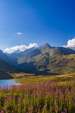 Col du Petit-Saint-Bernard yakınlarındaki manzara Mont Blanc ile Fransa ve İtalya sınırında