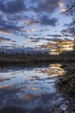 Gemenc, Szekszard ve Baja arasında eşsiz bir orman, Dunaj-Drava Ulusal Parkı, Macaristan