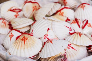 St. James Yolu 'nun sembolü, St. Jacob' un kabuğu.