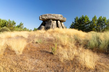 Alijo yakınlarındaki Dolmen Anta de Fonte Coberta, Vila Cha, Portekiz