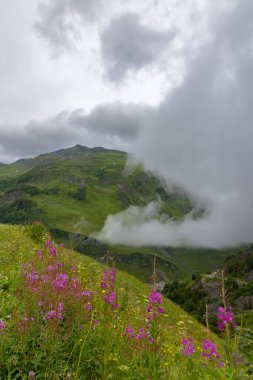 Grandes Alpes Yolu yakınlarındaki manzara, Savoy, Fransa