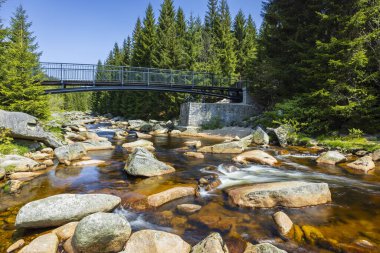 Karlovsky yakınlarındaki ilkbahar manzarası, Çek ve Polonya sınırı, Jizerky dağları, Çek Cumhuriyeti