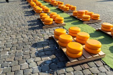 Hollanda 'da peş peşe bir dizi peynir