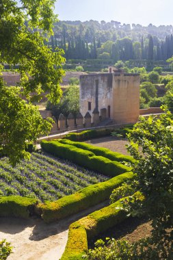 Alhambra, Generalife ve Albayzin (Generalife y Albaicin de Granada), UNESCO sitesi, Granada, Endülüs, İspanya