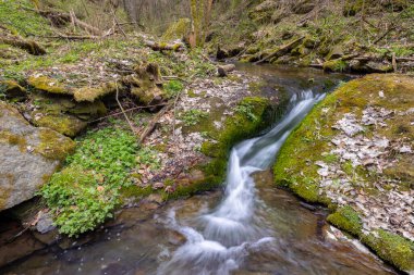 Burg Kaja ve Merkersdorf yakınlarındaki tipik manzara, Ulusal Park Thayatal, Aşağı Avusturya, Avusturya