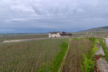 Clos de Vougeot, Cote de Nuits, Burgundy, Fransa yakınlarındaki tipik üzüm bağları