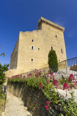 Chateauneuf-du-Pape Kalesi kalıntıları, Cotes du Rhone, Fransa