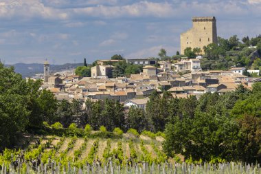 Chateauneuf-du-Pape yakınlarında taşları olan tipik üzüm bağları, Cotes du Rhone, Fransa