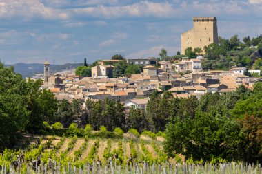 Typical vineyard with stones near Chateauneuf-du-Pape, Cotes du Rhone, France clipart