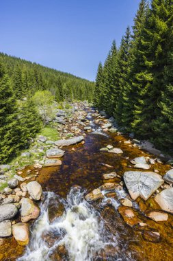 Spring landscape near Karlovsky most, Czech and Poland border, Jizerky mountains, Czech Republic clipart