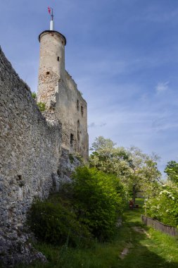 Falkenstein harabeleri, Aşağı Avusturya, Avusturya