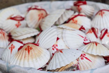 St. James Yolu 'nun sembolü, St. Jacob' un kabuğu.