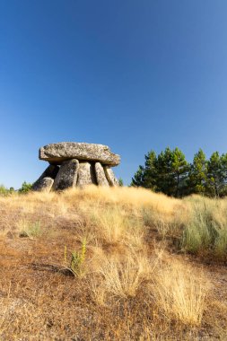Alijo yakınlarındaki Dolmen Anta de Fonte Coberta, Vila Cha, Portekiz