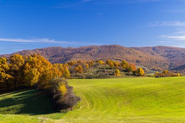 Stiavnicke vrchy dağlarındaki tipik sonbahar manzarası, Slovakya