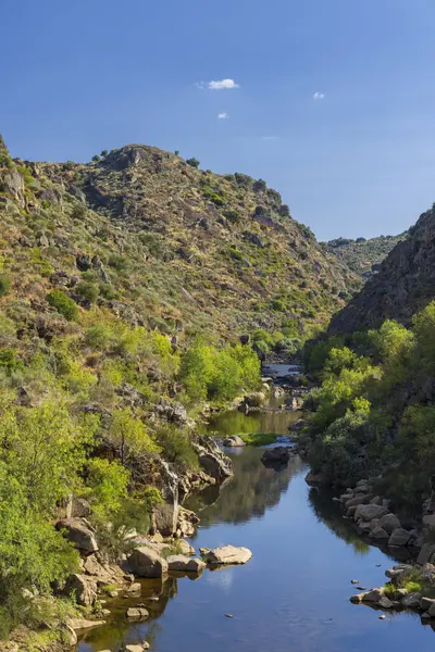 Park Arqueologico Vale do Coa (Coa Valley), UNESCO sitesi, paleolitik kaya resimleri, Kuzey Portekiz, Portekiz