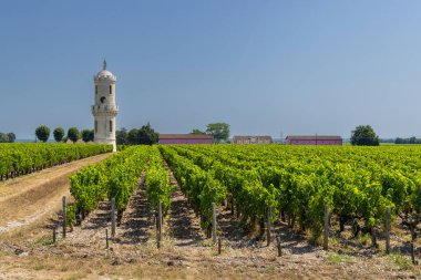 Şatolu üzüm bağları Çünkü d 'Estournel, Bordeaux, Aquitaine, Fransa