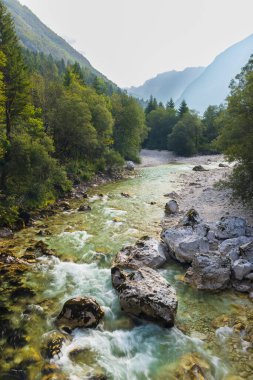 Soca nehri yakınlarındaki tipik manzara, Triglavski ulusal parkı, Slovenya