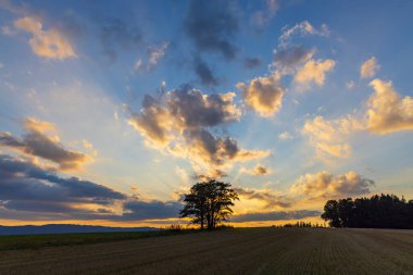 Doğa koruma alanı Broumovske steny, doğu Bohemya, Çek Cumhuriyeti