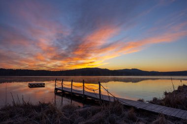 Doğa rezervi Olsina, Sumava Ulusal Parkı, Çek Cumhuriyeti