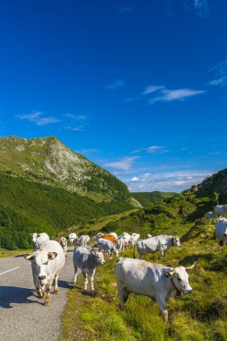 Col d 'Agnes yakınlarındaki manzara, Ariege Bölümü, Pireneler, Fransa