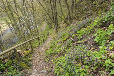 Uberstieg yakınlarındaki manzara, Ulusal Park Thayatal, Aşağı Avusturya, Avusturya