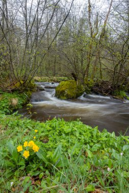 Plato des Grilloux, Thousand Ponds Plateau (Plateau des Mille etangs), Haute Saone, Bourgogne-Franche-Comte, Fransa