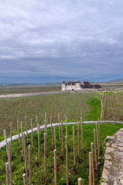 Clos de Vougeot, Cote de Nuits, Burgundy, Fransa yakınlarındaki tipik üzüm bağları