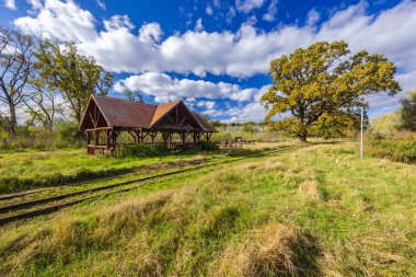 Gemenc, Szekszard ve Baja arasında eşsiz bir orman, Dunaj-Drava Ulusal Parkı, Macaristan