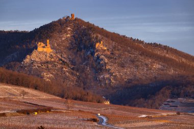Katle harabeleri: Chateau de Saint-Ulrich, Chateau du Girsberg ve Chateau du Haut-Ribeaupierre Ribeauville, Alsace, Fransa